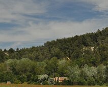 Paysage du printemps
